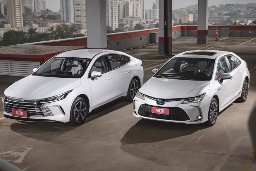 BYD King vs Toyota Corolla