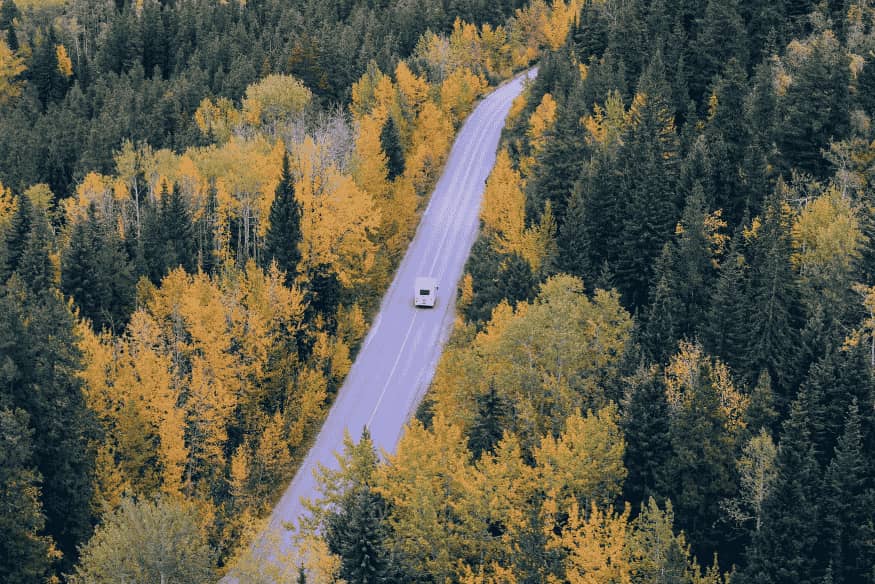 Estrada sinuosa cortando floresta com árvores amarelas e verdes, vista aérea de carro em viagem.